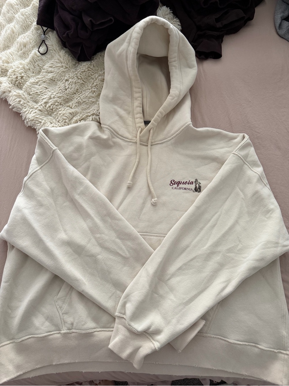 Abercrombie & Fitch Cream Sequoia California Hooded Sweatshirt